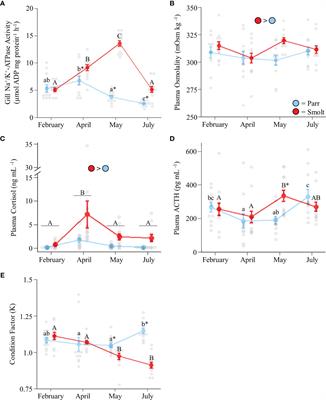 Neuroendocrine Regulation of Plasma Cortisol Levels During Smoltification and Seawater Acclimation of Atlantic Salmon